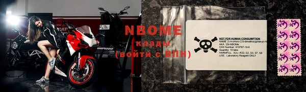 гидра Ахтубинск