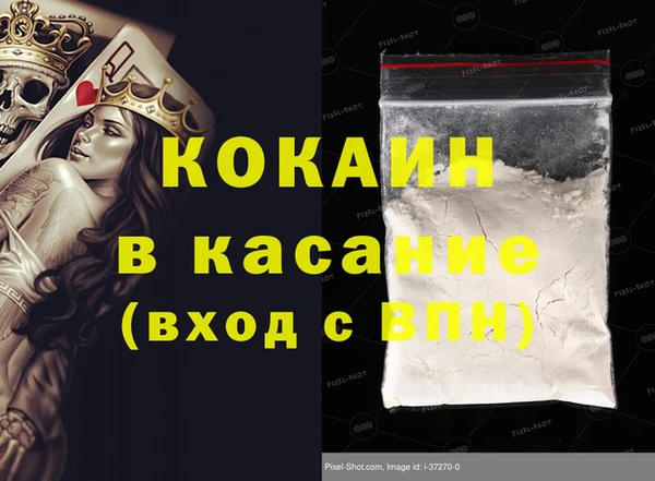 гидра Ахтубинск