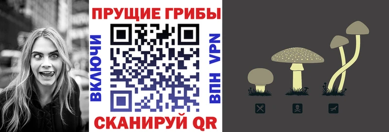 хочу наркоту  Ворсма  Галлюциногенные грибы Cubensis 