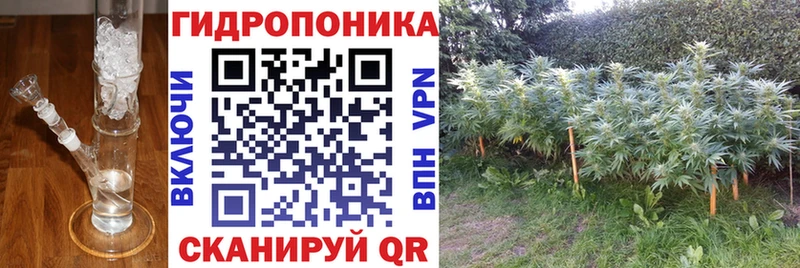 Бошки марихуана Ganja Ворсма
